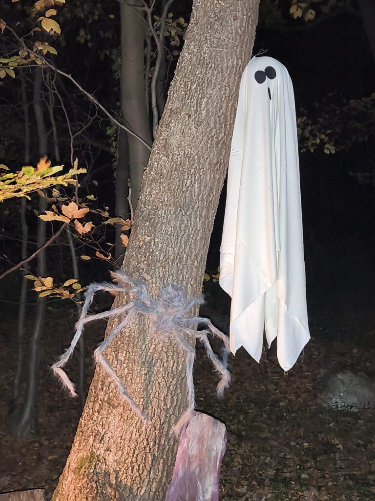 Das erste Halloween im Tullnerbacher Geisterwäldchen - ein voller Erfolg! whatsapp image 2025 10 31 at 20.27.21
