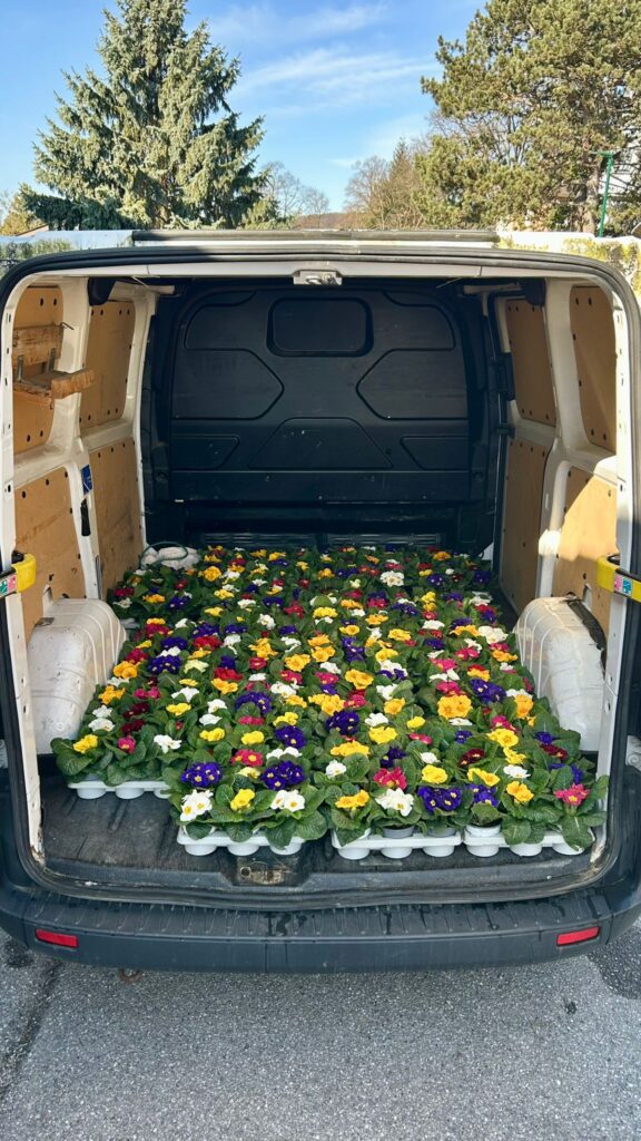 Der Frühling erwacht in Tullnerbach – und wir bringen ihn zum Blühen! img 20260313 wa0009