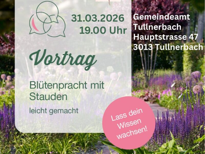 img 20260313 wa0022