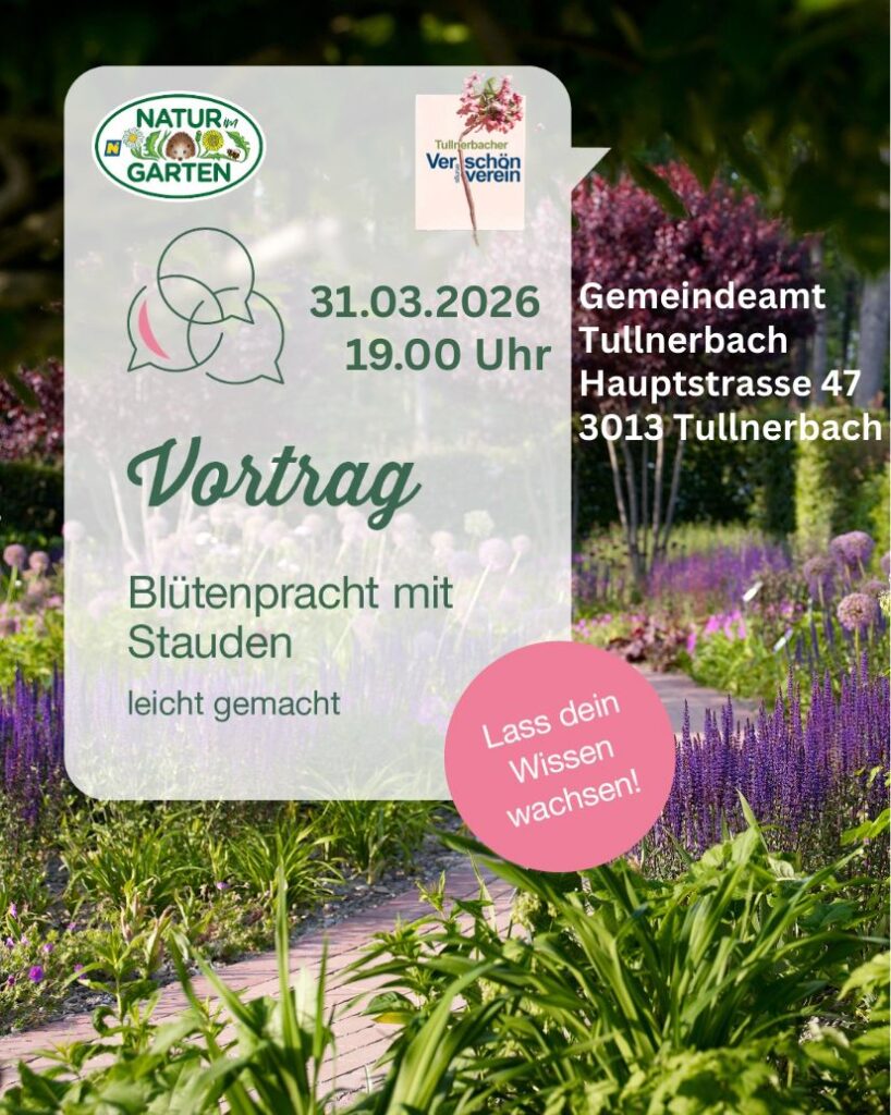 Der Frühling erwacht in Tullnerbach – und wir bringen ihn zum Blühen! img 20260313 wa0022