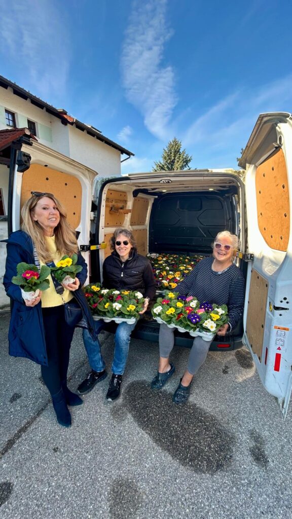 Der Frühling erwacht in Tullnerbach – und wir bringen ihn zum Blühen! img 20260313 wa0027