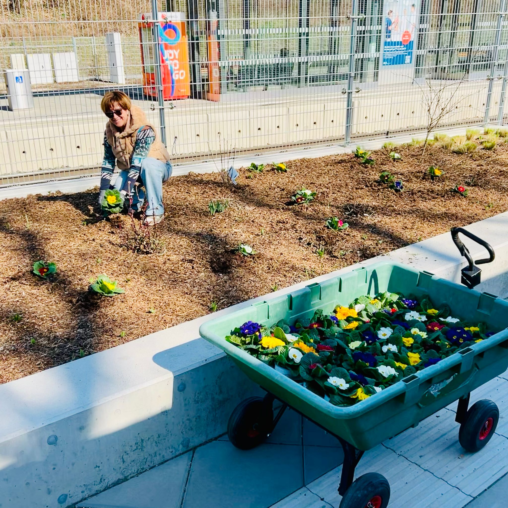 Der Frühling erwacht in Tullnerbach – und wir bringen ihn zum Blühen! img 20260315 wa0001